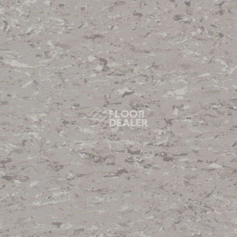 Линолеум Gerflor Mipolam Accord 0340 PALADRU фото 1 | FLOORDEALER